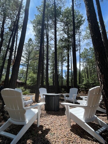 Updated Cozy Cabin Nestled in the Tall Pines - Fully Fenced Yard