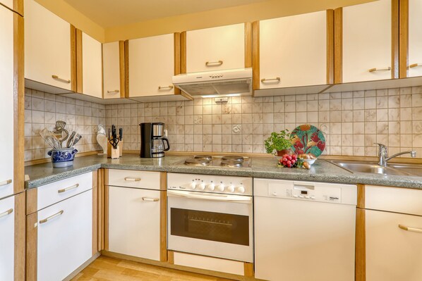 Fridge, oven, stovetop, dishwasher