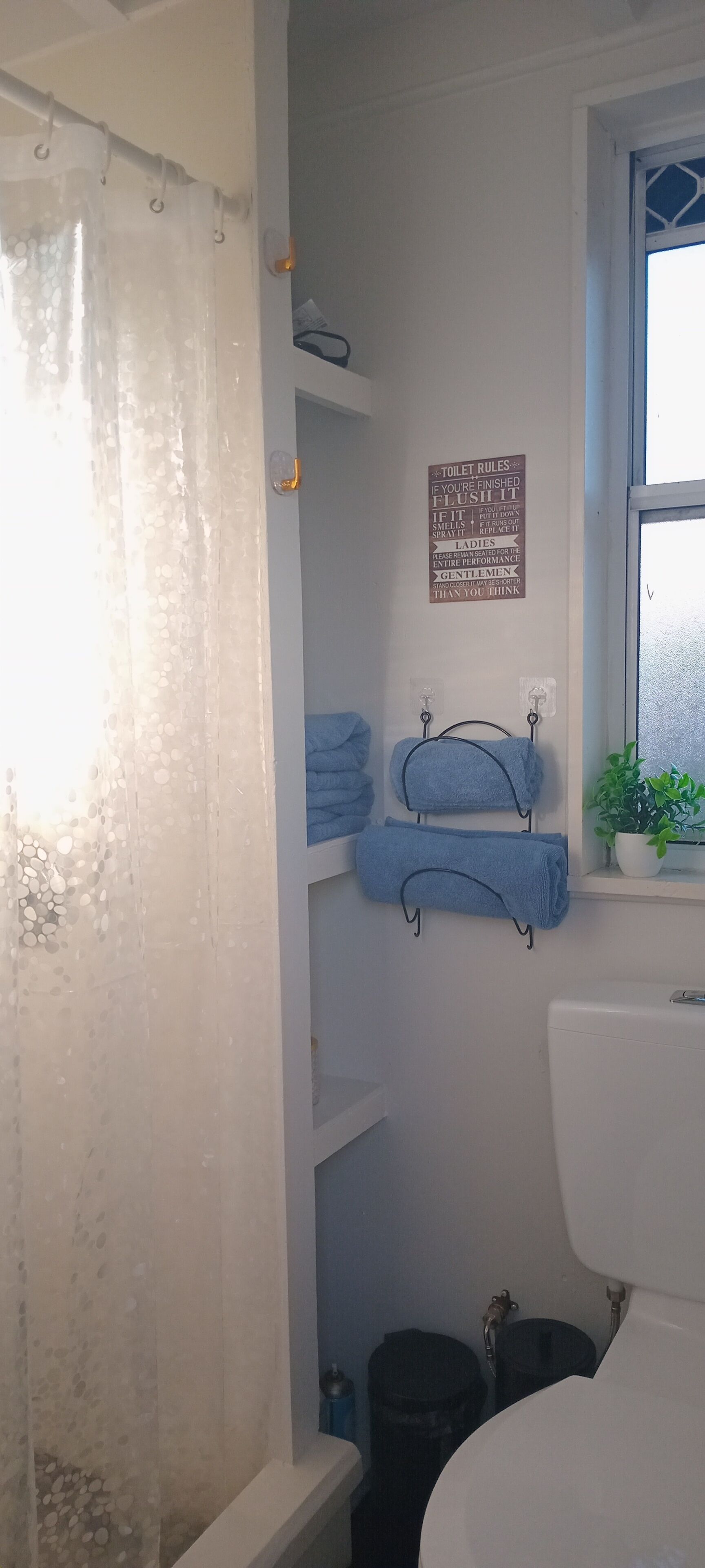 A bathroom with a shower curtain, a toilet rules sign, towels on hooks, a potted plant, and a window.