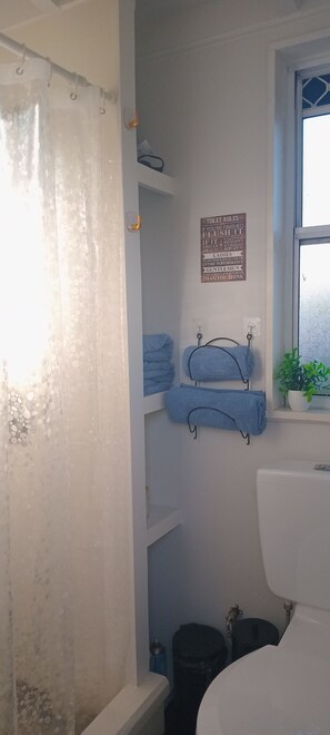 Une salle de bain avec un rideau de douche, un panneau indiquant les règles d’utilisation des toilettes, des serviettes accrochées, une plante en pot et une fenêtre.