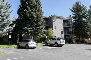 Residential building with balconies and parking lot surrounded by lush evergreen trees.