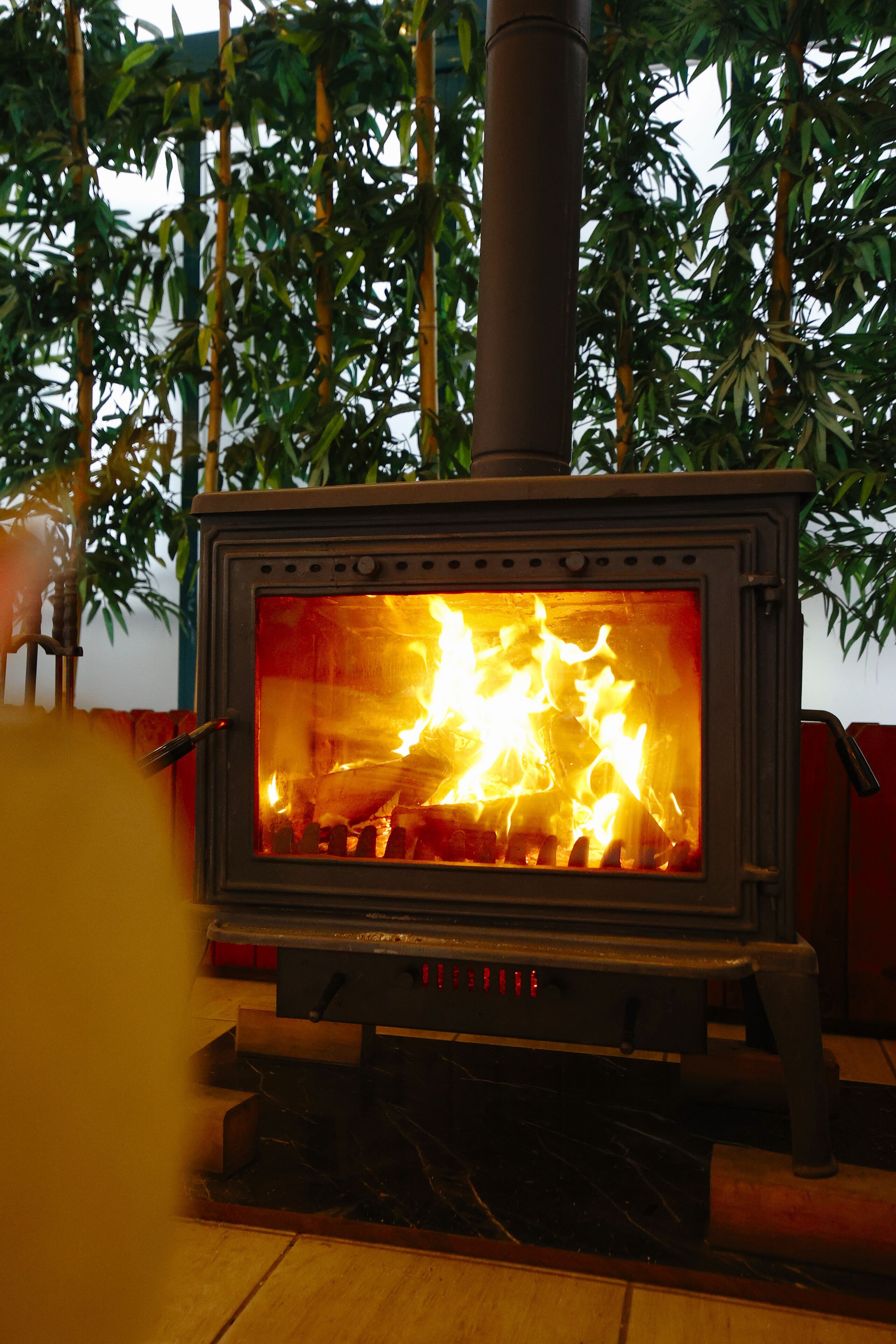 Ein Kaminofen mit sichtbaren Flammen, vor einer Kulisse aus Bambuspflanzen.