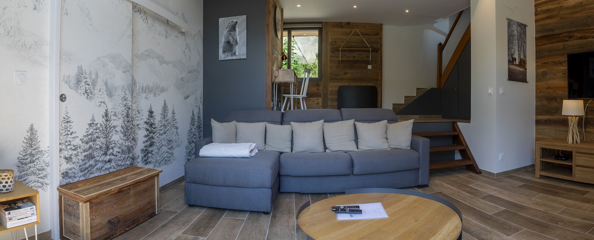 Télévision, cheminée, lecteur de DVD, livres