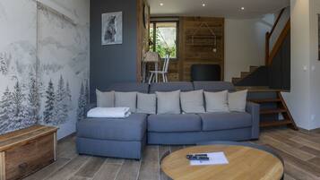 Télévision, cheminée, lecteur de DVD, livres