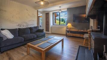 Télévision, cheminée, lecteur de DVD, livres