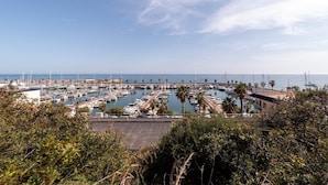 A marina with boats docked, palm trees, and a clear sky.