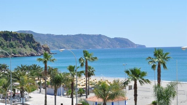 Paesaggio costiero con palme, una spiaggia e una montagna sullo sfondo.