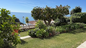 Jardí ben cuidat amb una varietat de plantes i vista al mar.