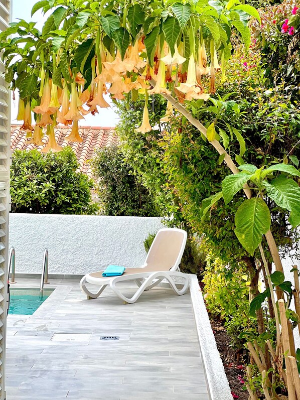 A poolside area with a lounge chair, a pool, and surrounding greenery.