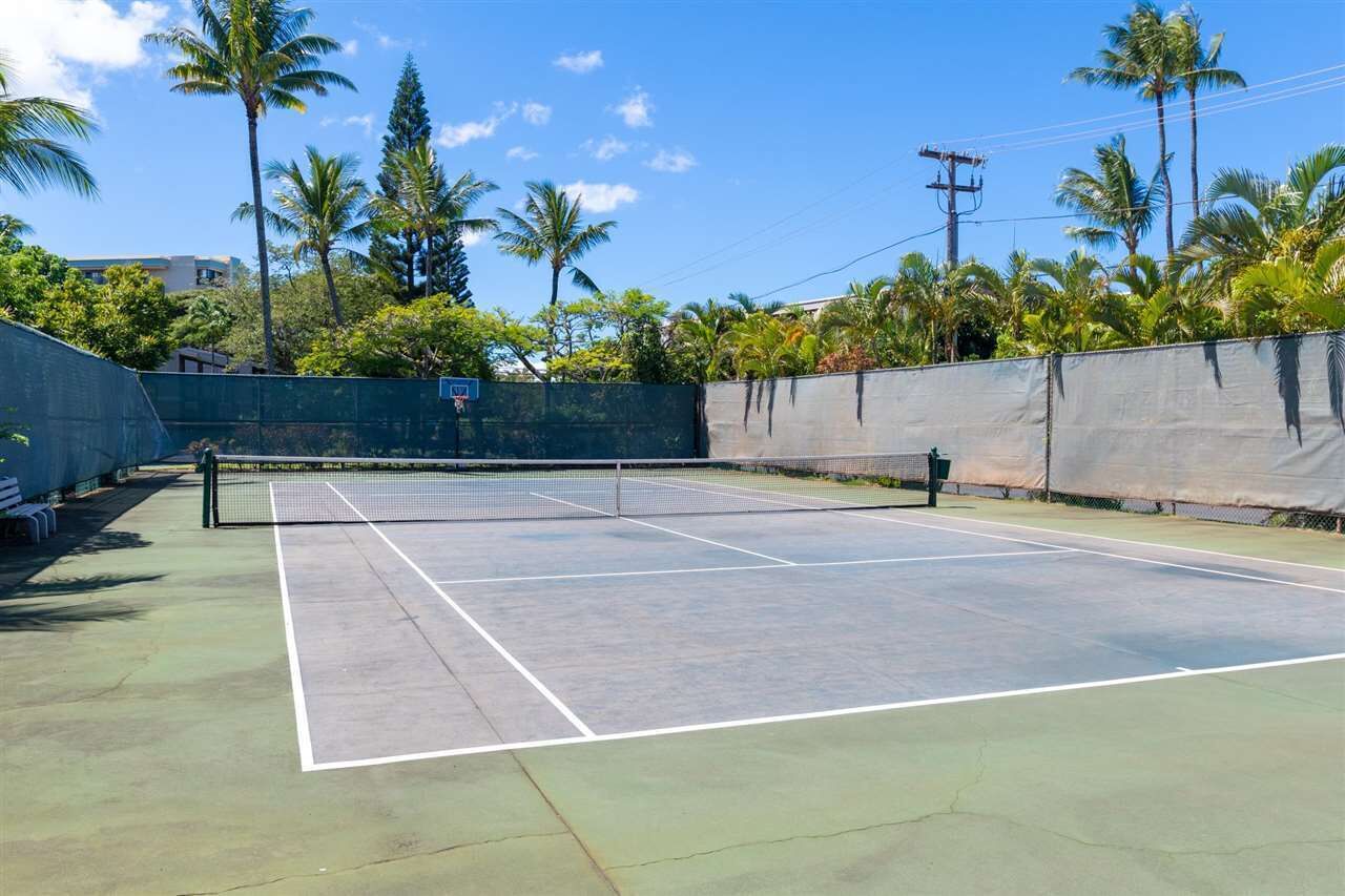 Una cancha de tenis al aire libre rodeada por una valla verde, con palmeras y un cielo despejado al fondo.