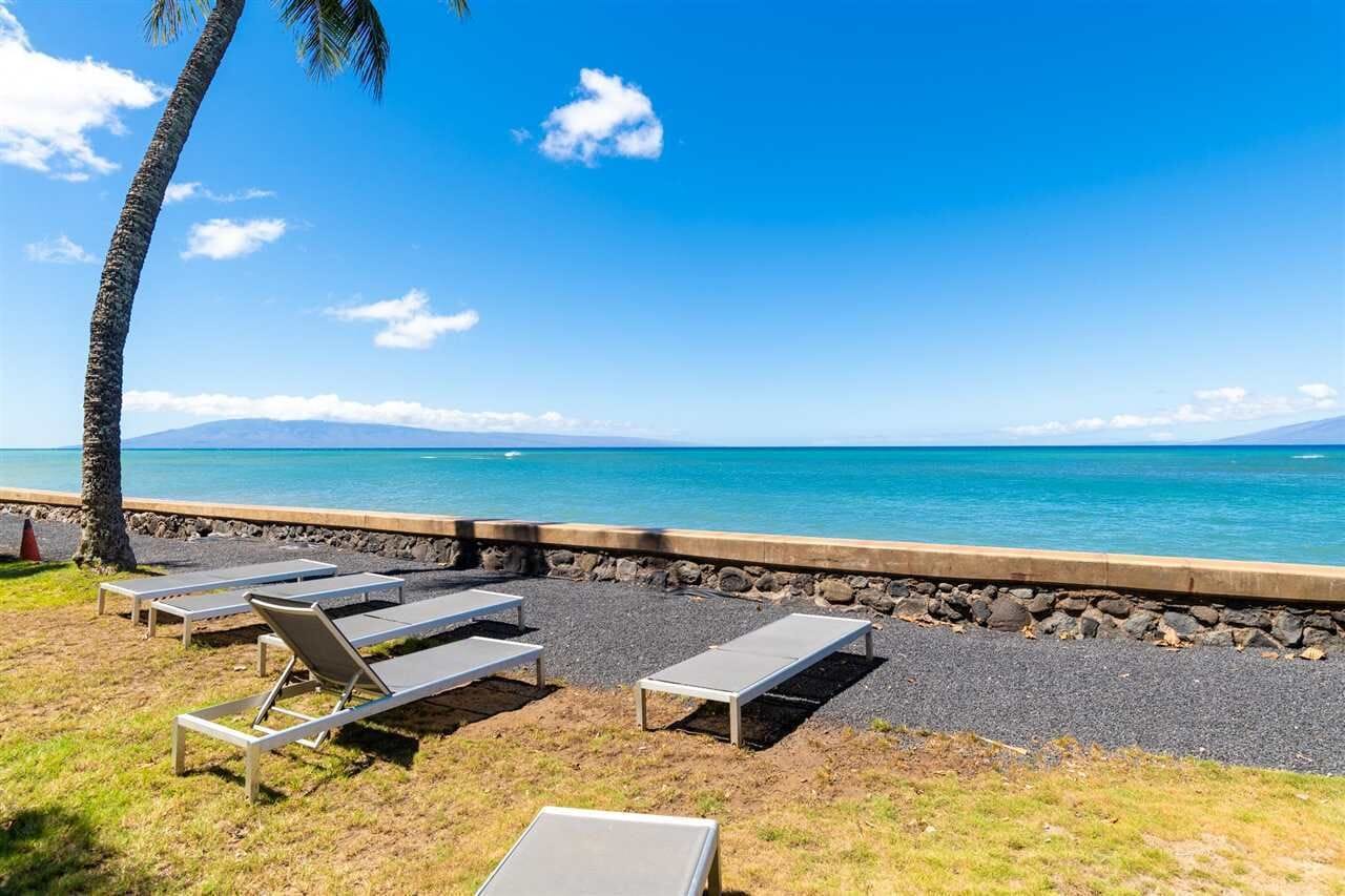 A beachside lounge area with sun loungers and a palm tree, overlooking a calm sea with a clear sky.