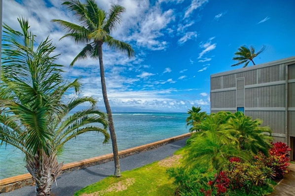 Une vue sur la côte, avec des palmiers, un ciel dégagé et un bâtiment à la façade grise.