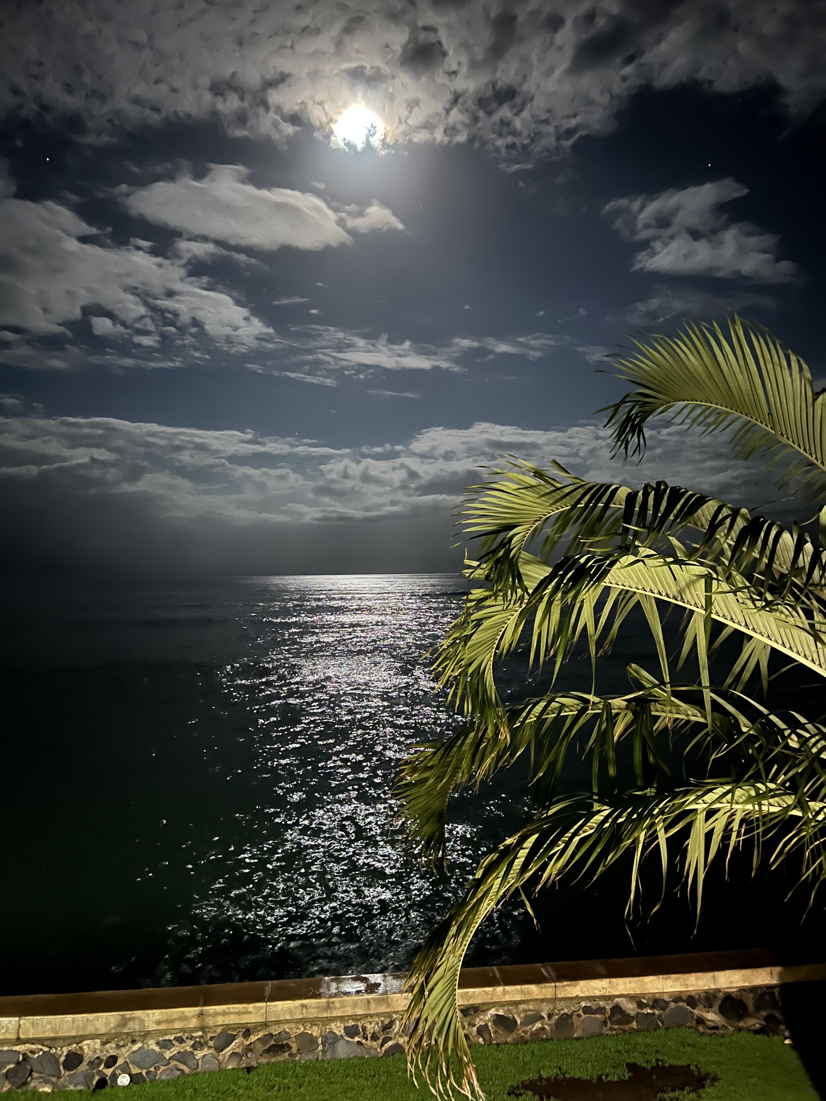 A night view of the ocean with a moonlit sky, palm trees, and a stone wall.