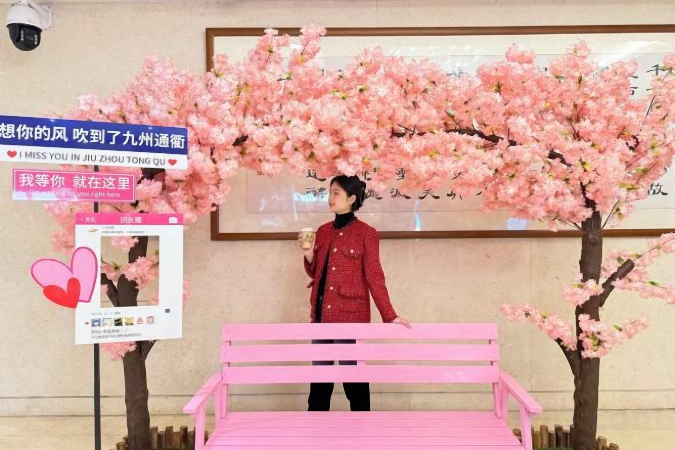 A person standing next to a pink bench under cherry blossom trees.