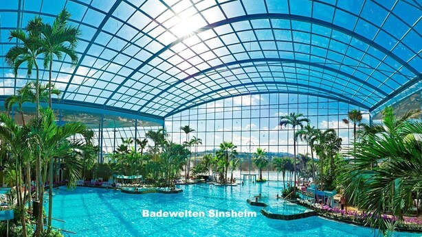 A large indoor swimming pool with a glass ceiling, surrounded by palm trees and lounge areas. - Fe apartm., in a quiet location, 5 minut. from the S-Bahn + Regio train station (Meckesheim)