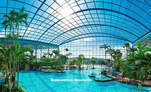 A large indoor swimming pool with a glass ceiling, surrounded by palm trees and lounge areas. - Fe apartm., in a quiet location, 5 minut. from the S-Bahn + Regio train station (Meckesheim)