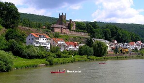 A riverside town with historic buildings, including a castle, and a red canoe on the water. - Fe apartm., in a quiet location, 5 minut. from the S-Bahn + Regio train station (Meckesheim)