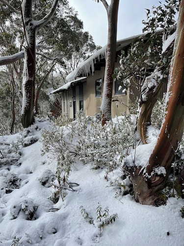 Tanjil Creek lodge - (Whole Lodge 1-4) Luxury in the Alps