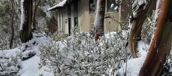 Tanjil Creek lodge - (Whole Lodge 1-4) Luxury in the Alps