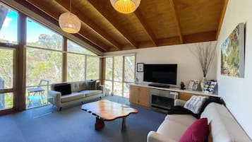 Smart TV, fireplace, Netflix, streaming services