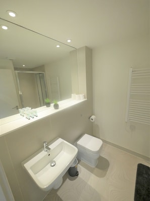 Bathtub, hair dryer, towels, soap