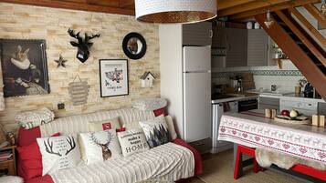 TV, video games, DVD player, books