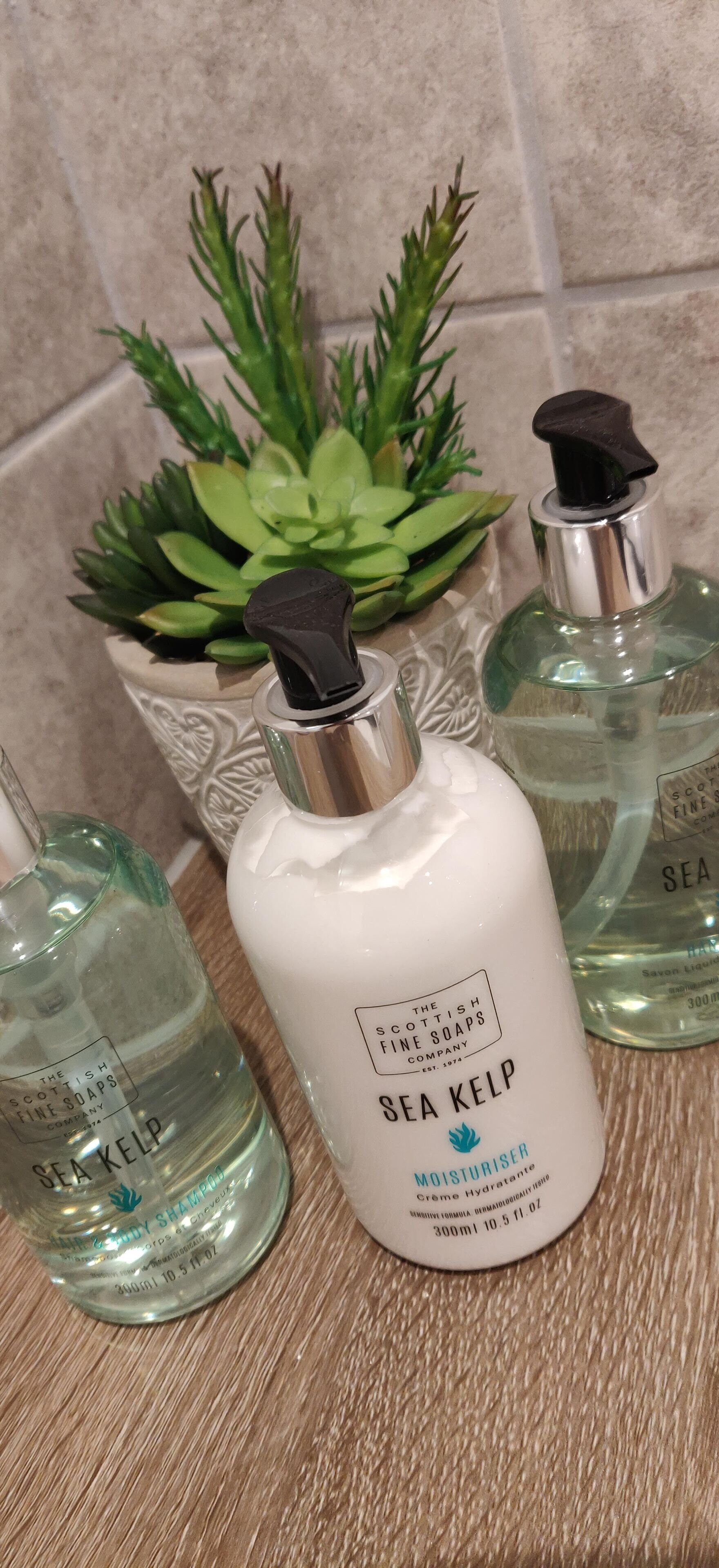 Drei Flaschen Sea Kelp Duschgel und Conditioner auf einer Holztischplatte, im Hintergrund ein Topfpflanze.