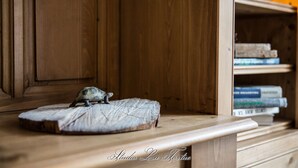 Una repisa de madera con una pequeña figurita de tortuga sobre un cojín, y una pila de libros al fondo.
