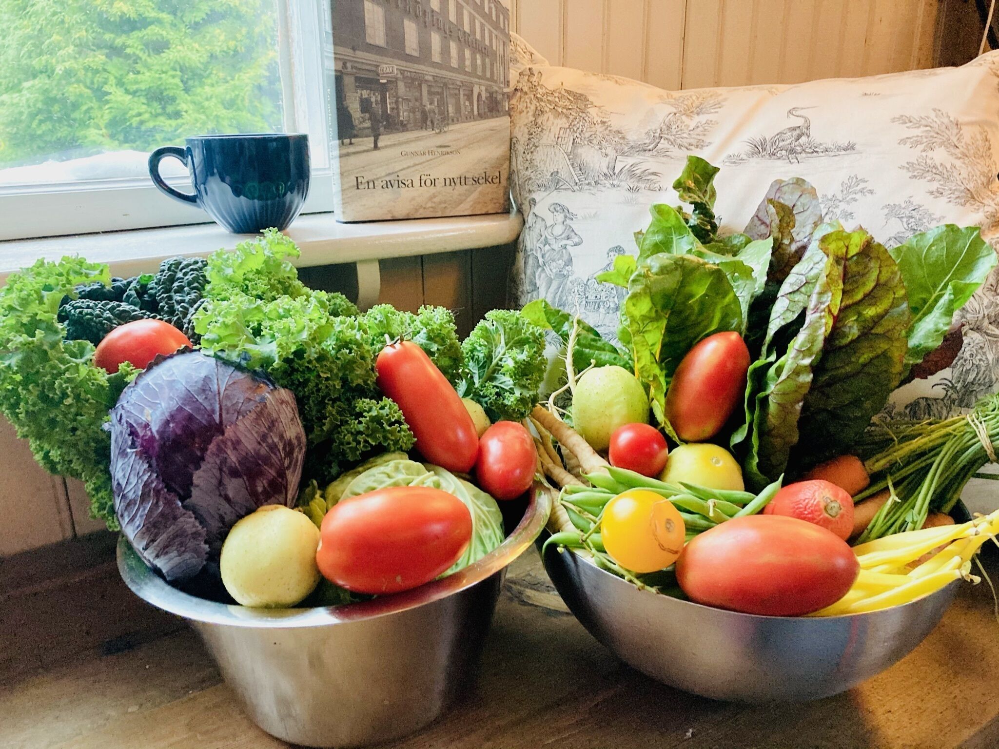 Two metal bowls filled with fresh vegetables on a windowsill.
