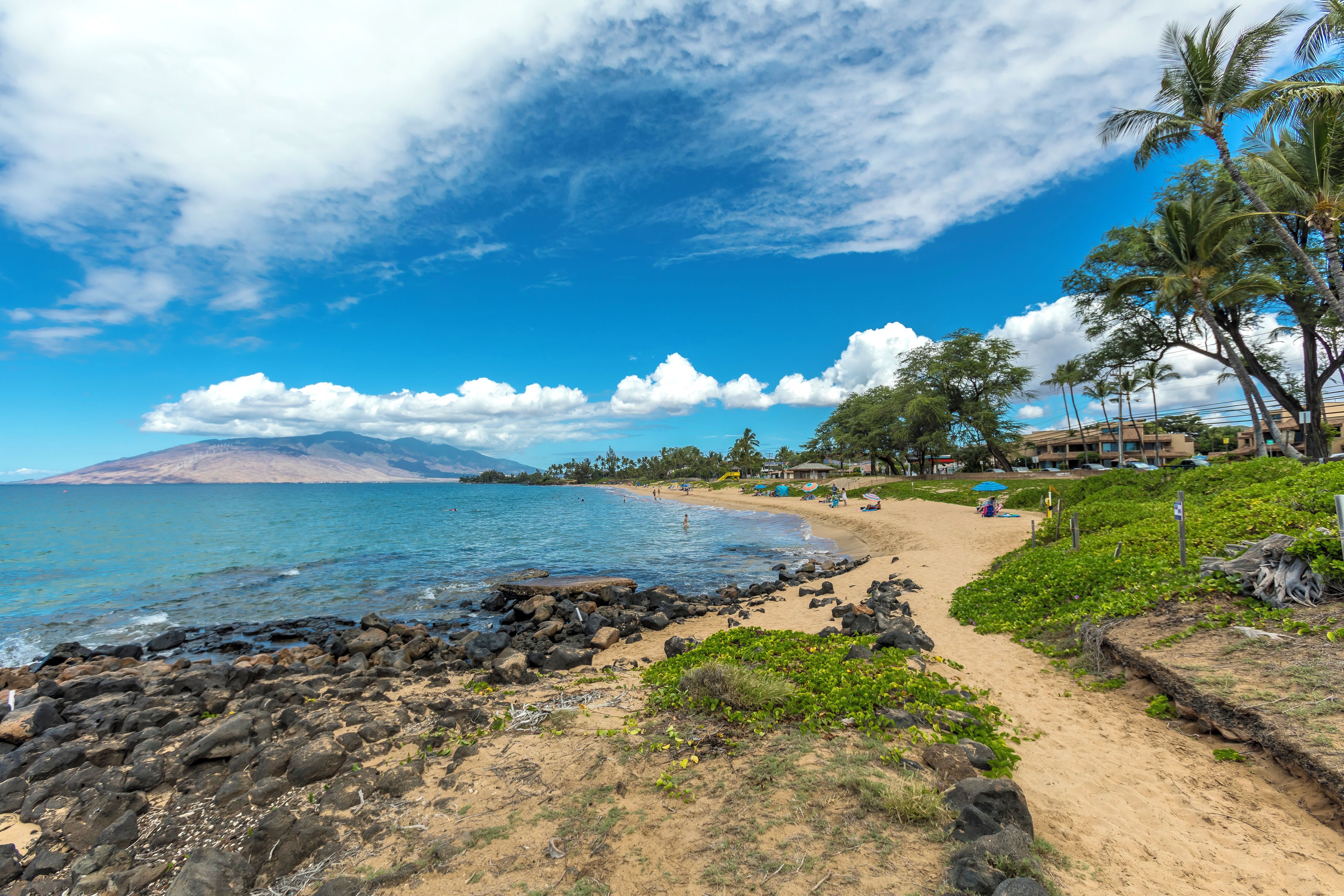 A beach with a rocky shoreline, palm trees, and a clear blue sky.