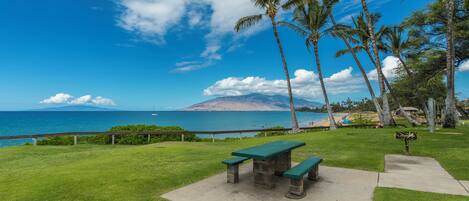 A grassy area with a picnic table and benches, palm trees, and a view of the ocean and a mountain in the background.