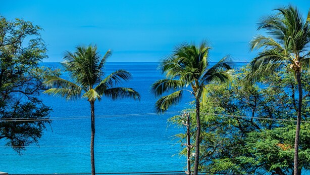 Vista da praia com palmeiras e um oceano azul límpido.