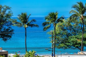 A beach view with palm trees and a clear blue ocean.