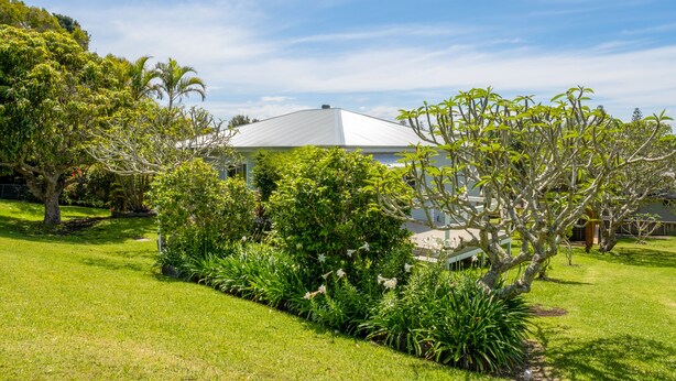 A house with a white roof, surrounded by lush greenery and trees. - Ruby's Place is a unique beach house with all the creature comforts of home (Black Head)