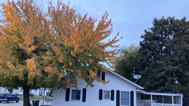 A white single-story house with a porch and a tree with autumn leaves.