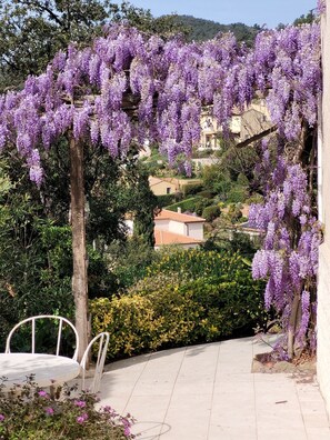 Un jardin orné de glycines aux fleurs violettes, avec une table blanche et des chaises.