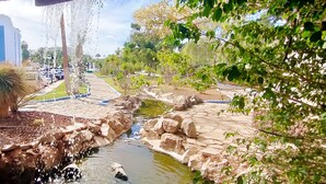 A landscaped area with a water feature, stone pathways, and a palm tree. - Tropical Green Park - Pool - Parking - La Corbeta Building (San Miguel de Abona)