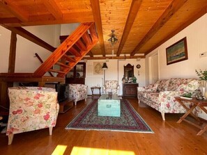 TV, fireplace, ping pong