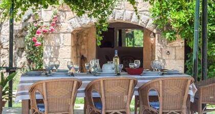 Rural villa Forest with private pool near Dubrovnik