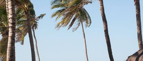 Deluxe Apartment | Beach | Beach nearby