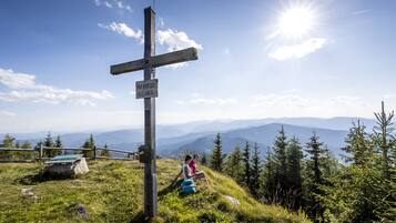 A wooden cross with a sign, surrounded by a grassy area with trees and mountains in the background.