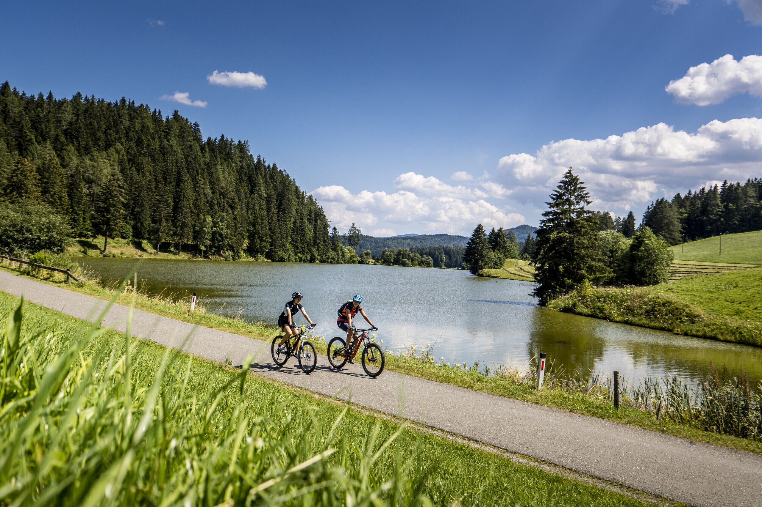 Ein gepflasterter Weg entlang eines Sees mit Radfahrern, umgeben von dichtem Wald und offenen Feldern.
