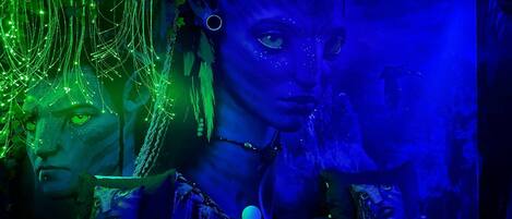 12 slaapkamers, een strijkplank/strijkijzer, reisbedje, wifi