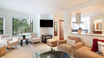 TV connectée, cheminée