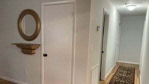 A hallway with a white door, a decorative mirror, and a patterned rug.