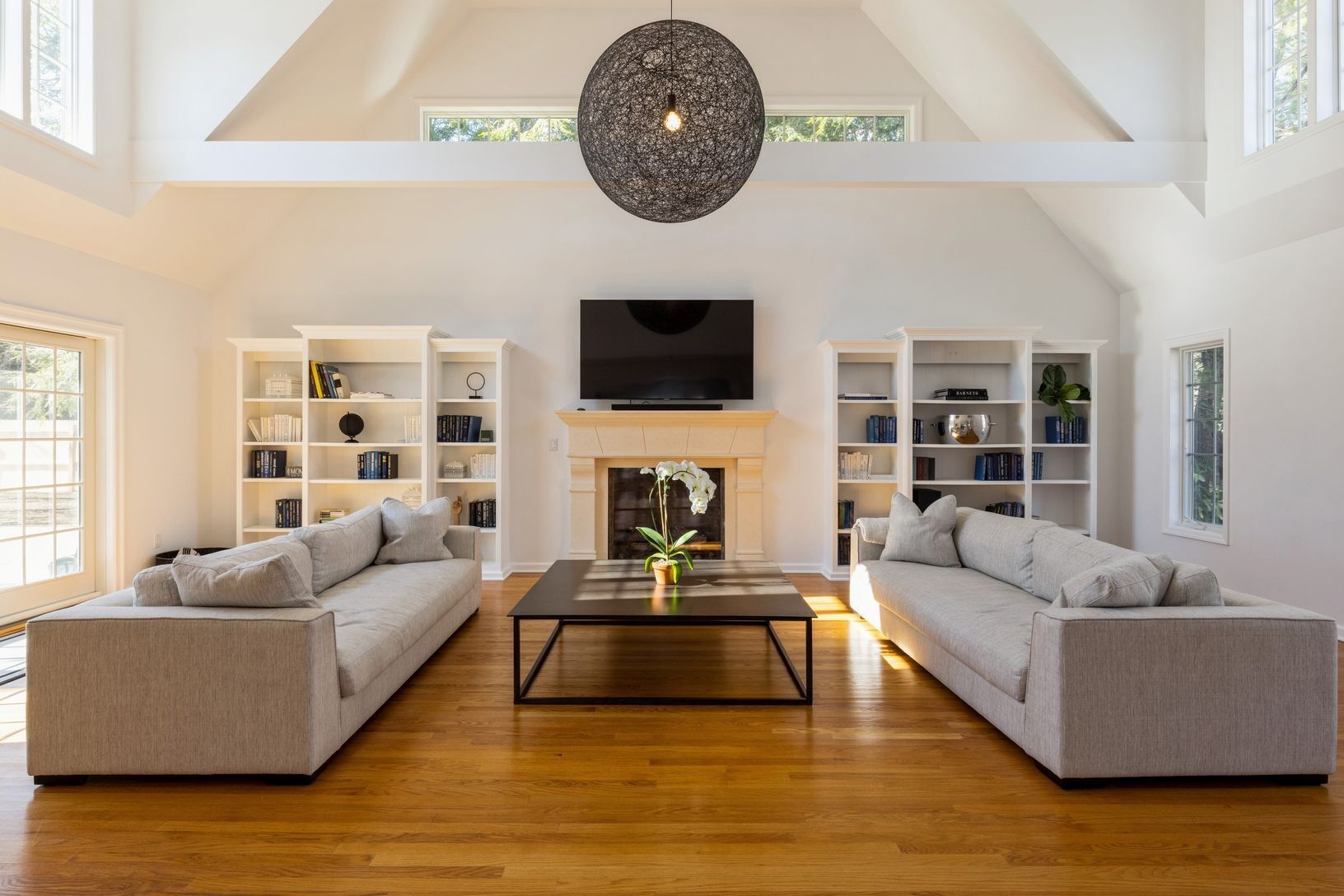 Smart TV, fireplace, books, stereo