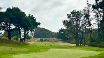 A golf course with a well-maintained green, trees, and a clear sky.