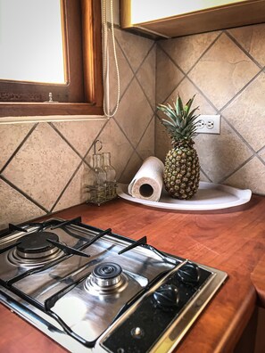 Réfrigérateur, cafetière-théière, vaisselle et ustensiles