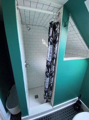 Combined shower/tub, bidet