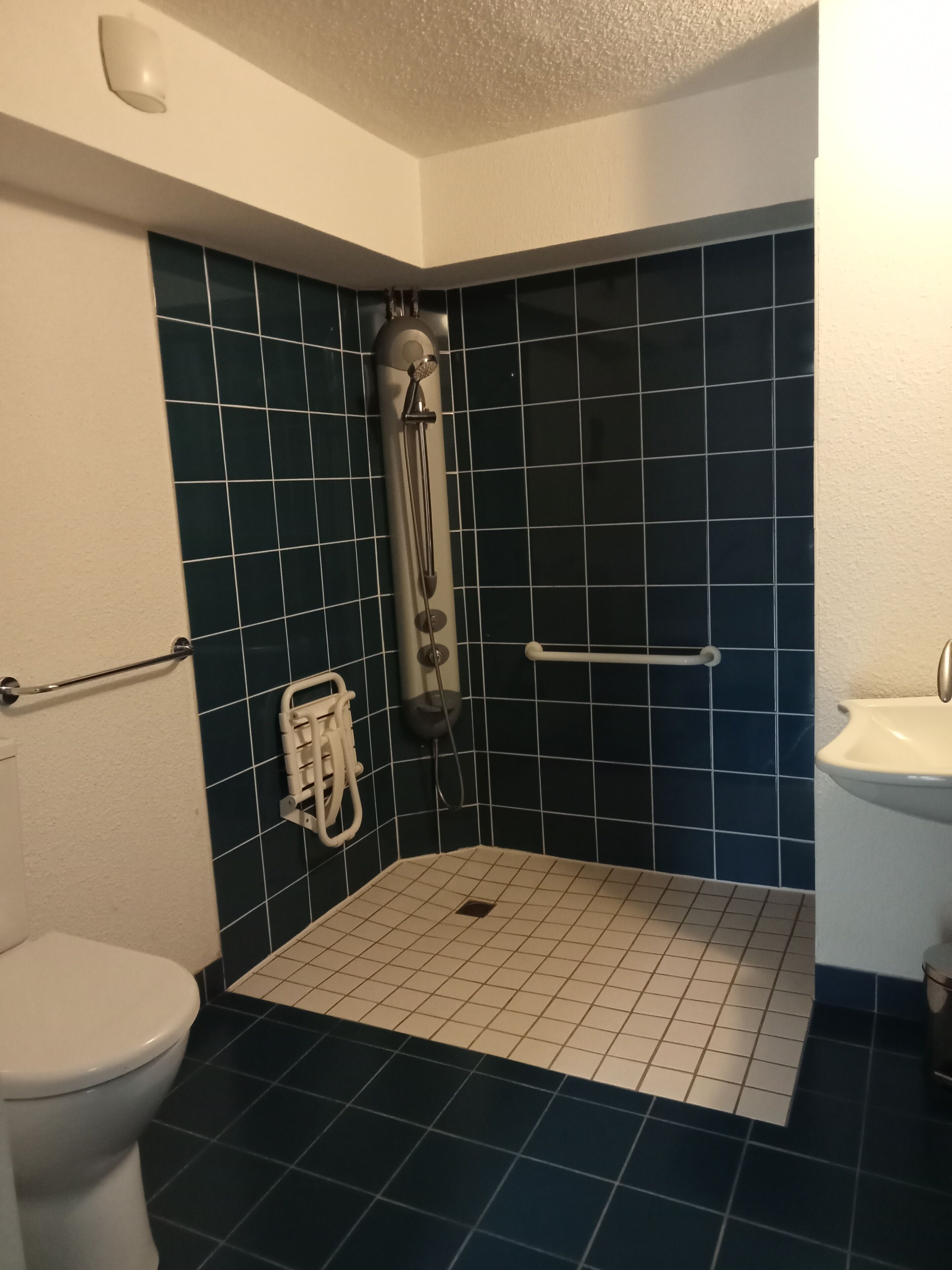 Un baño con ducha, inodoro y lavabo.